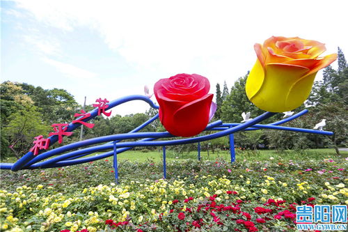 花溪公園精品月季展 獻(xiàn)禮建黨百年華章
